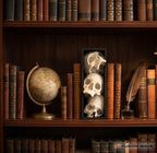 Book Nook Trzy Czaszki, ujęcie 9