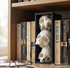 Book Nook Trzy Czaszki, ujęcie 2